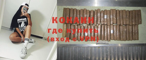 крисы Богородицк