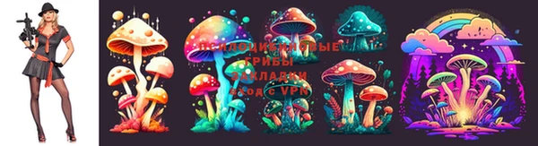 MDMA Premium VHQ Богородск