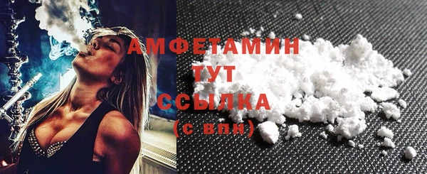 крисы Богородицк
