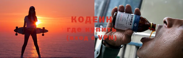 крисы Богородицк