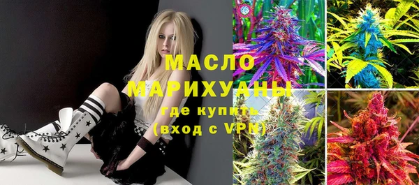 крисы Богородицк