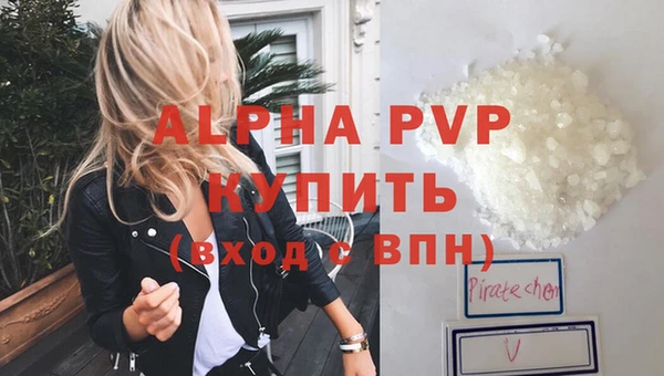 крисы Богородицк