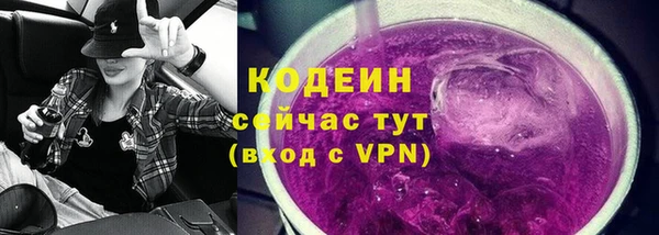 крисы Богородицк